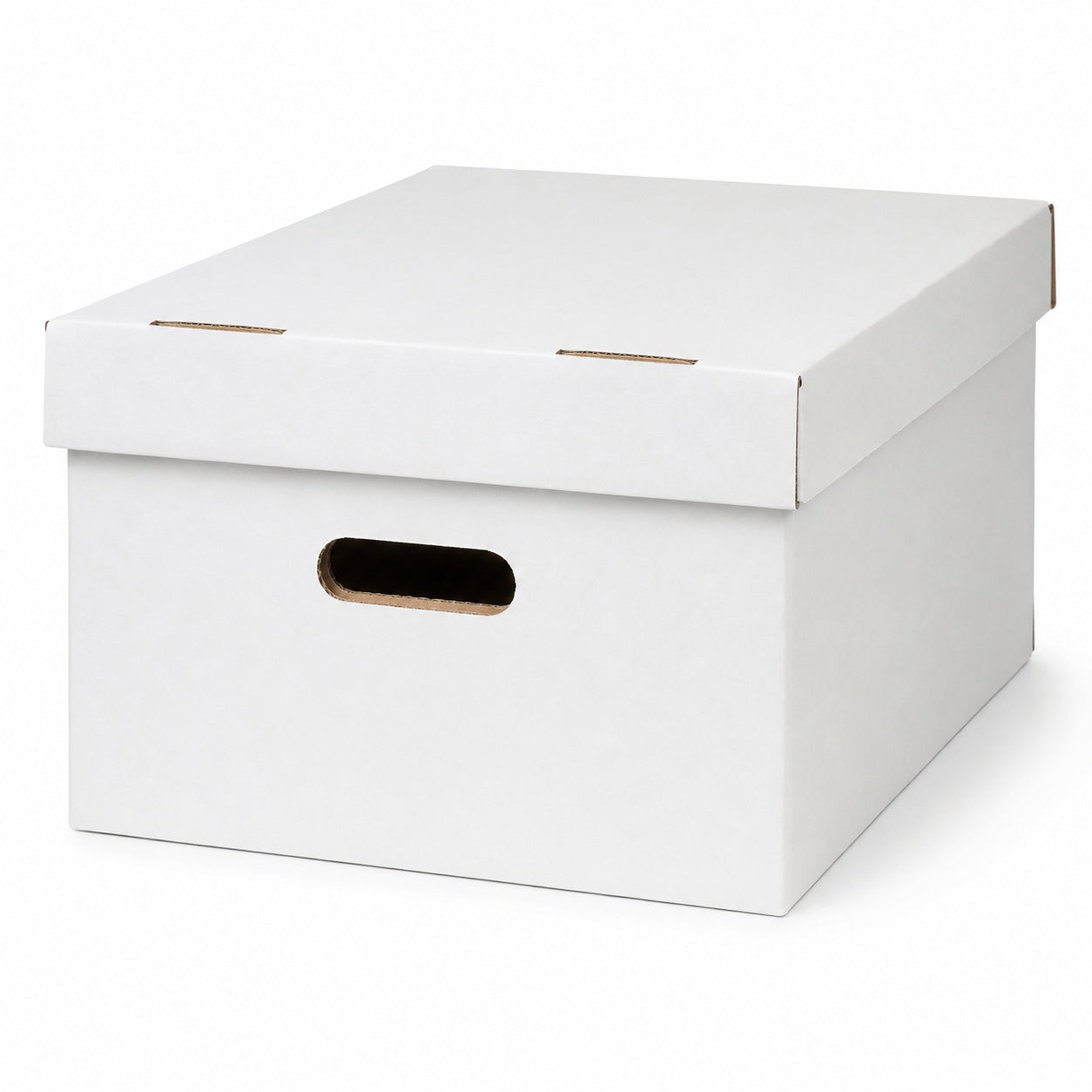 Short Comic Storage Box