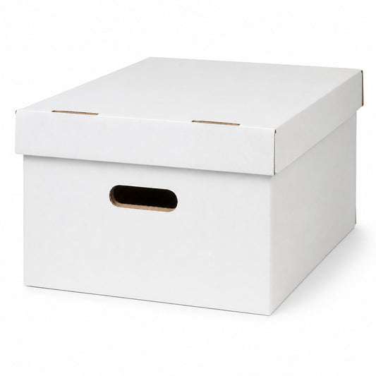 Short Comic Storage Box